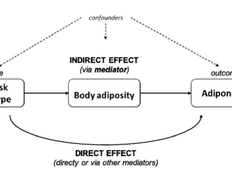 the causal mediation analysis.