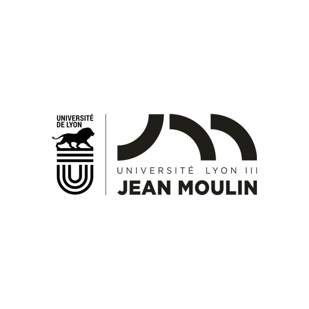 Jean Moulin Lion III